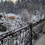 Θέρετρο Centrum Halniak *