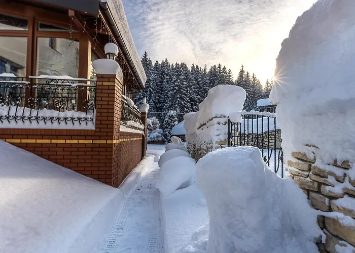 Centrum Halniak * Istebna